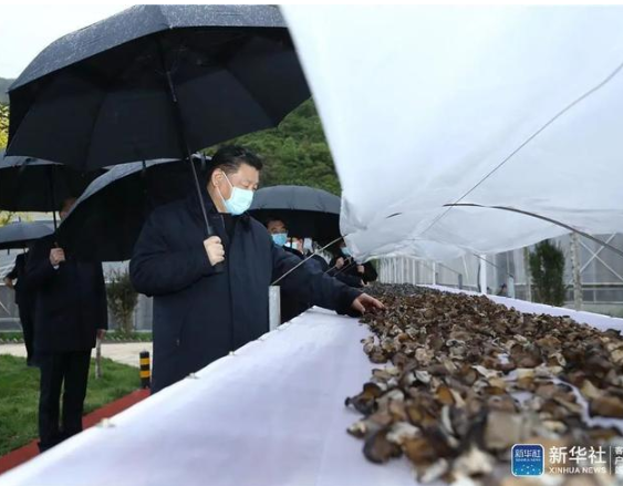 0515_160126_743.png image.png